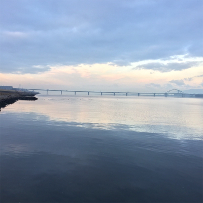 淀川ブリームゲーム