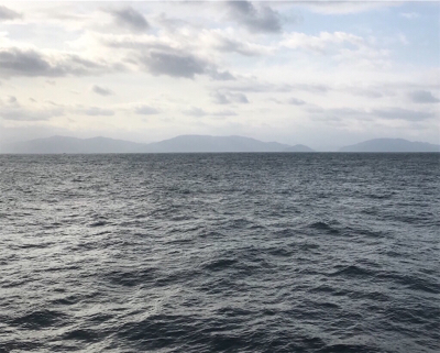 暇つぶしくらいは…