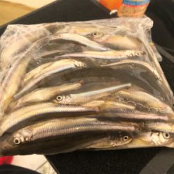 おそらくラスト