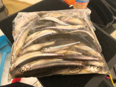 おそらくラスト