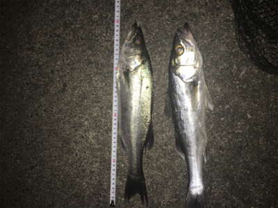 強風の中なんとか