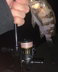 表層と思ったら底