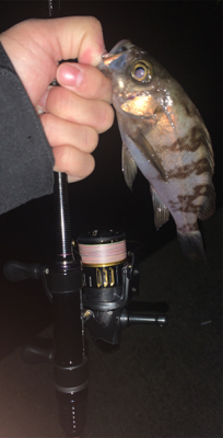 表層と思ったら底