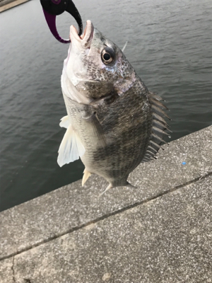 ダブルからの…