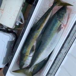 ドリームチェイサー丹後沖ジギング