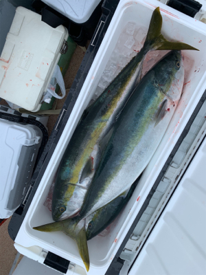 ドリームチェイサー丹後沖ジギング