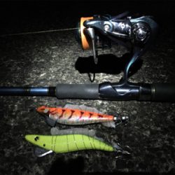 エギング、メバリング