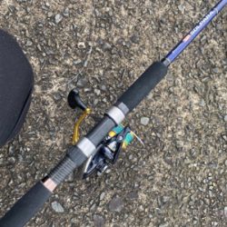 ライトショアジギング