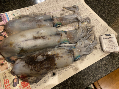 もう春イカの季節