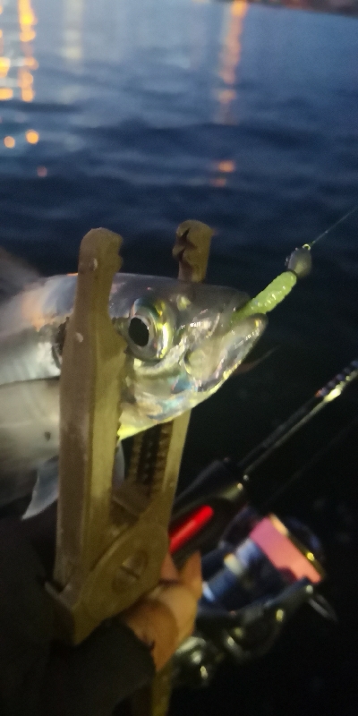 アジング練習 123