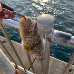 ライトロックフィッシング