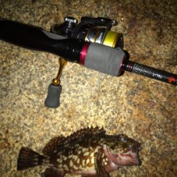 雨に降られて強制終了