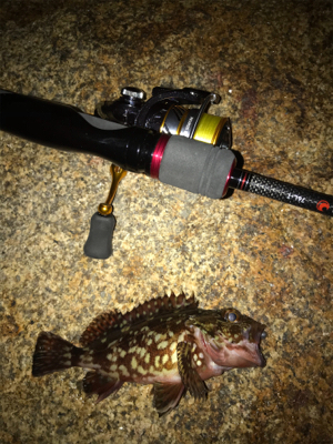 雨に降られて強制終了