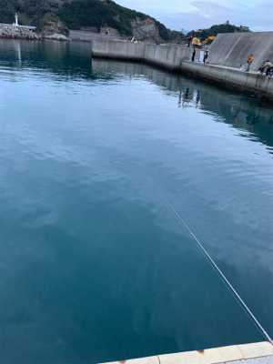 尺アジ！？！？