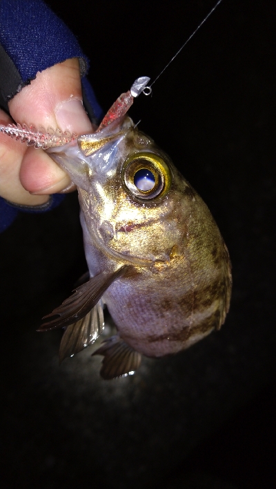 ナイトメバリング