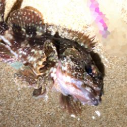 とあるサーフのライトゲーム