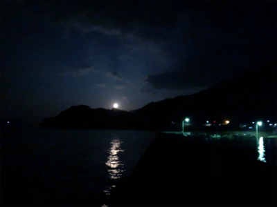 月夜アジング