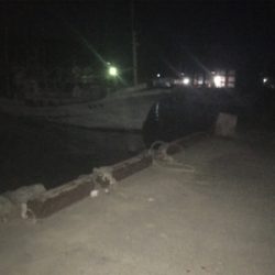 アジがよく釣れました!