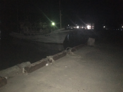 アジがよく釣れました!