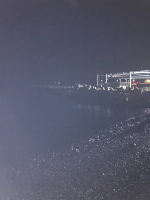 最近のお気に入り