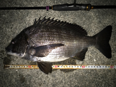 2020ライトゲーム第10戦