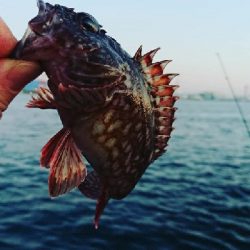 南港ガシリング