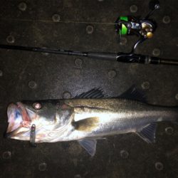 雨後ナイトゲーム