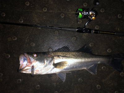 雨後ナイトゲーム