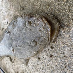 チャリンコ爆走からの…