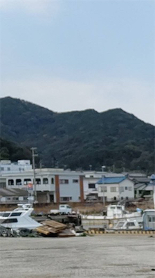 久方ぶりのコブダイ