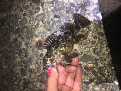 西浦なんだけど選択できませ〜ん