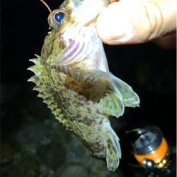 とある小雨後のゴロタプラッキング