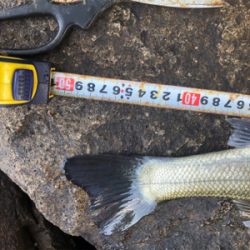 なんとか1匹❗️