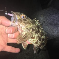 食後に少しだけ