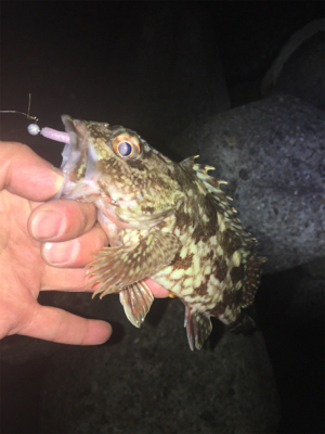 食後に少しだけ