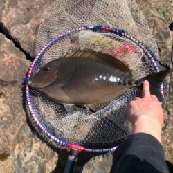 ヘタクソ釣行記 2