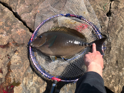 ヘタクソ釣行記 2