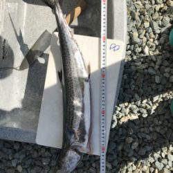 潮は良くないですが