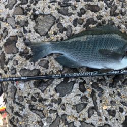 大波！爆風！壱岐島！