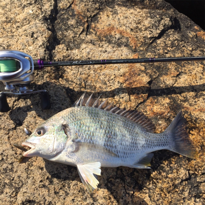 淀川ブリームゲーム