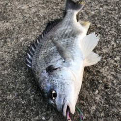 サンキャッチイチバラシ