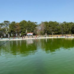 服部緑地再会 ルアーは初心者には地獄ですよ。