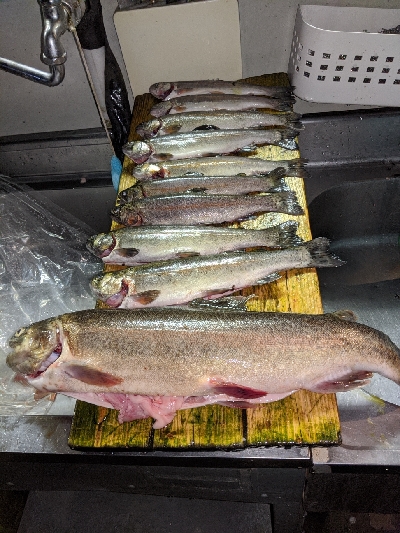 ジョイバレーでロックトラウト