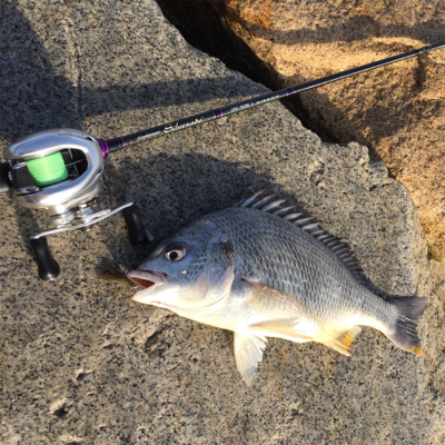 淀川ブリームゲーム