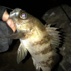 夕まずめにメバリング(^^)