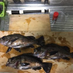 まだ水温は冷たい