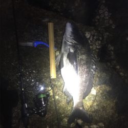 メバル鉄板ポイントに