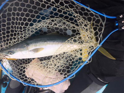 県南でカヤックフィッシング！