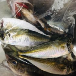 人は多かったですが