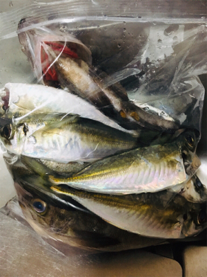 人は多かったですが